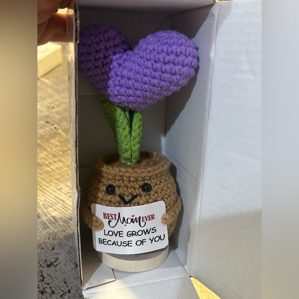 Crochet Heart Plant Decor